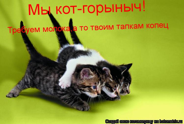 Мы кот-горыныч! Требуем молока,а то твоим тапкам копец... Котоматрица: Мы кот-горыныч! Требуем молока,а то твоим тапкам копец