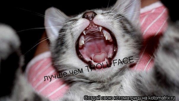 лучше чем TROLL FACE... Котоматрица: лучше чем TROLL FACE