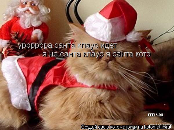 урррррра санта клаус идет я не санта клаус я санта котэ... Котоматрица: урррррра санта клаус идет я не санта клаус я санта котэ