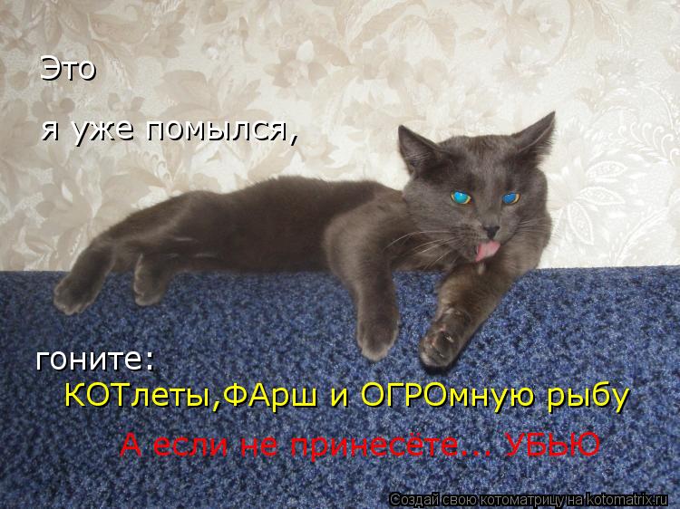 Это я уже помылся, гоните: КОТлеты,ФАрш и ОГРОмную рыбу А если не принесёте... УБЬЮ... Котоматрица: Это я уже помылся, гоните: КОТлеты,ФАрш и ОГРОмную рыбу А если не принесёте... УБЬЮ