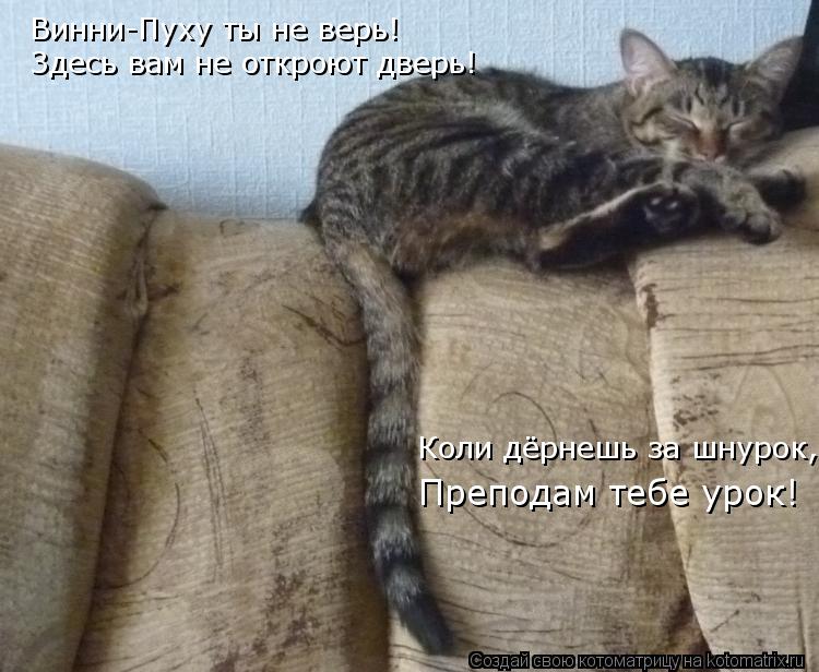 Винни-Пуху ты не верь! Здесь вам не откроют дверь! Коли дёрнешь за шнурок, Преподам тебе урок!... Котоматрица: Винни-Пуху ты не верь! Здесь вам не откроют дверь! Коли дёрнешь за шнурок, Преподам тебе урок!