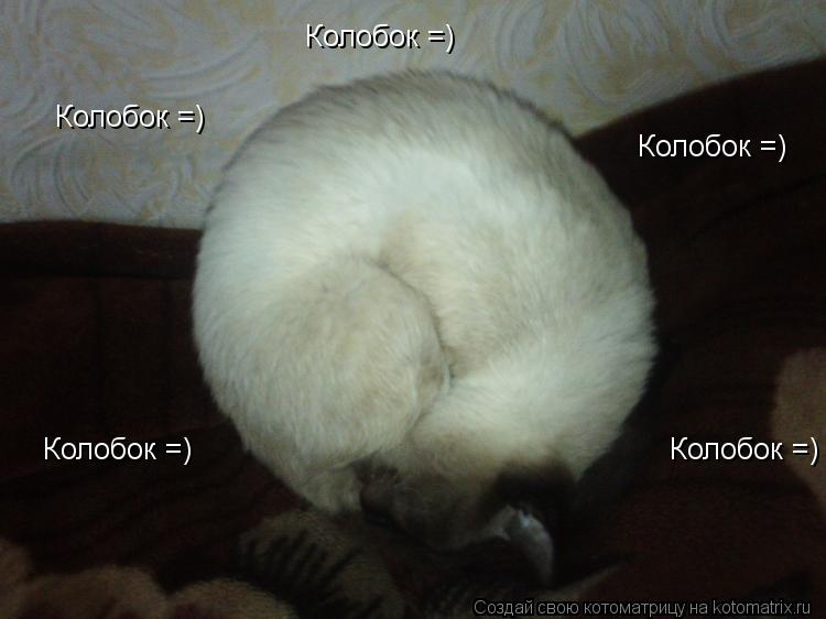 Колобок =) Колобок =) Колобок =) Колобок =) Колобок =)... Котоматрица: Колобок =) Колобок =) Колобок =) Колобок =) Колобок =)