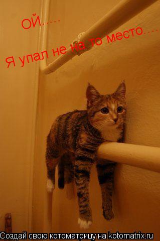 ОЙ..... Я упал не на то место....... Котоматрица: ОЙ..... Я упал не на то место....