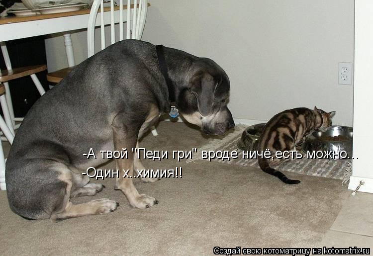 -А твой "Педи гри" вроде ничё,есть можно... -Один х..химия!!... Котоматрица: -А твой "Педи гри" вроде ничё,есть можно... -Один х..химия!!