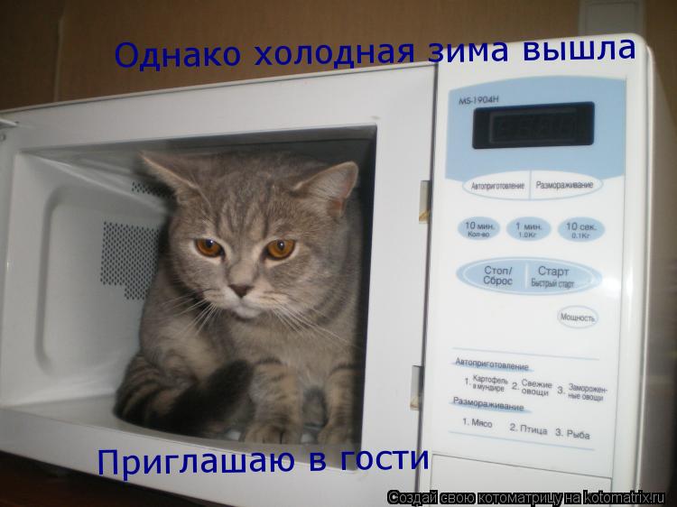 Однако холодная зима вышла Приглашаю в гости... Котоматрица: Однако холодная зима вышла Приглашаю в гости
