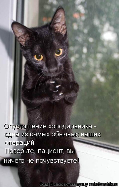 Опустошение холодильника - одна из самых обычных наших операций. Поверьте, пациент, вы ничего не по... Котоматрица: Опустошение холодильника - одна из самых обычных наших операций. Поверьте, пациент, вы ничего не почувствуете!