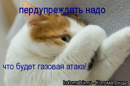 пердупреждать надо что будет газовая атака!... Котоматрица: пердупреждать надо что будет газовая атака!