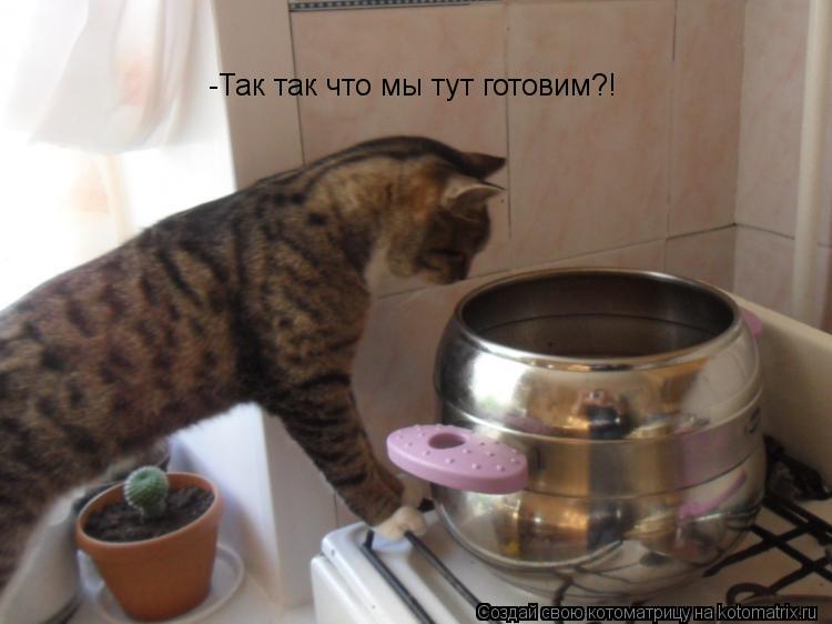 -Так так что мы тут готовим?!... Котоматрица: -Так так что мы тут готовим?!