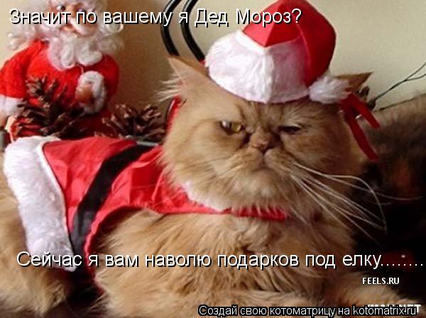 Сейчас я вам наволю подарков под елку........ Значит по вашему я Дед Мороз?... Котоматрица: Сейчас я вам наволю подарков под елку........ Значит по вашему я Дед Мороз?