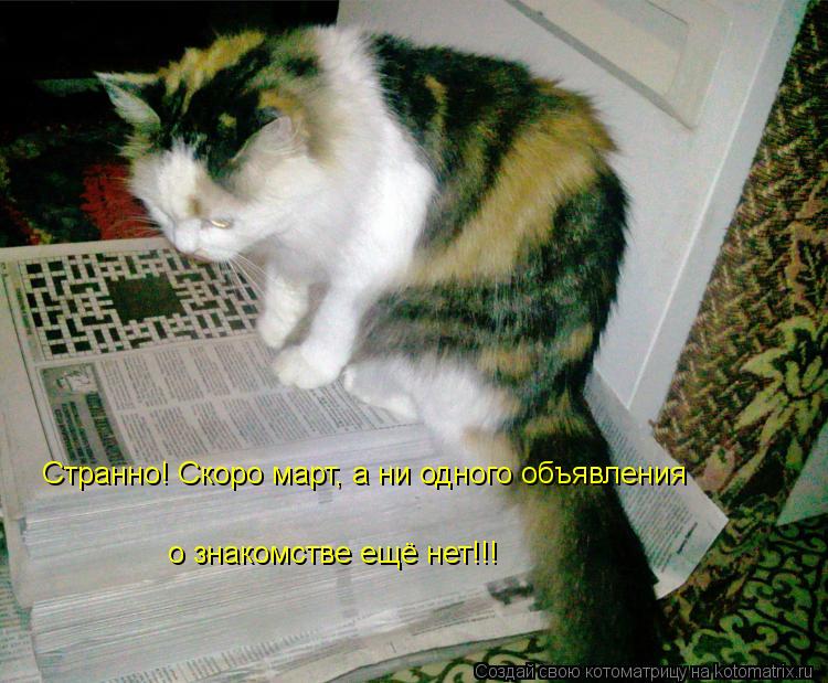 Странно! Скоро март, а ни одного объявления о знакомстве ещё нет!!!... Котоматрица: Странно! Скоро март, а ни одного объявления о знакомстве ещё нет!!!