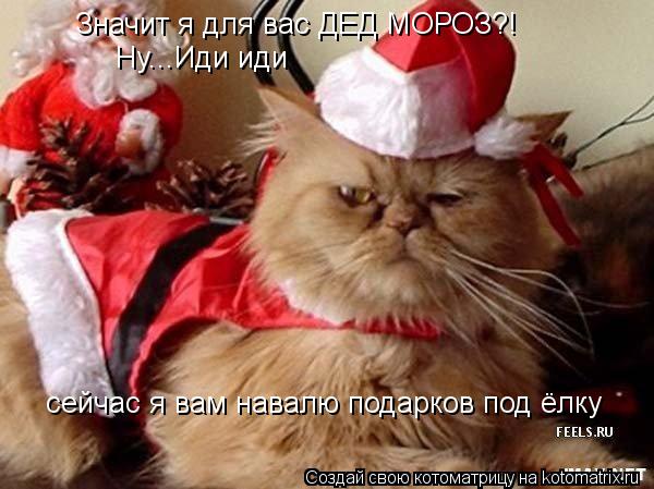 Значит я для вас ДЕД МОРОЗ?! Ну...Иди иди сейчас я вам навалю подарков под ёлку... Котоматрица: Значит я для вас ДЕД МОРОЗ?! Ну...Иди иди сейчас я вам навалю подарков под ёлку