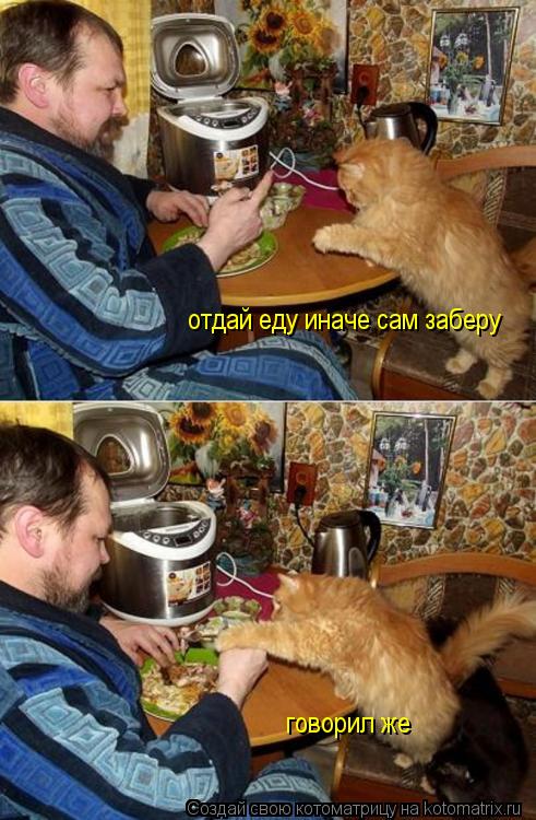 отдай еду иначе сам заберу говорил же... Котоматрица: отдай еду иначе сам заберу говорил же