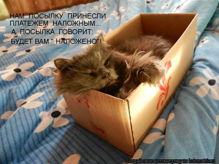 НАМ ПОСЫЛКУ ПРИНЕСЛИ ПЛАТЕЖЕМ НАЛОЖНЫМ... А ПОСЫЛКА ГОВОРИТ: БУДЕТ ВАМ " НАЛОЖЕНО"!... Котоматрица: НАМ ПОСЫЛКУ ПРИНЕСЛИ ПЛАТЕЖЕМ НАЛОЖНЫМ... А ПОСЫЛКА ГОВОРИТ: БУДЕТ ВАМ " НАЛОЖЕНО"!