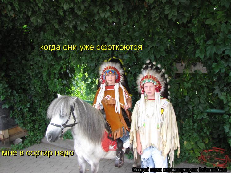 когда они уже сфоткоются мне в сортир надо... Котоматрица: когда они уже сфоткоются мне в сортир надо