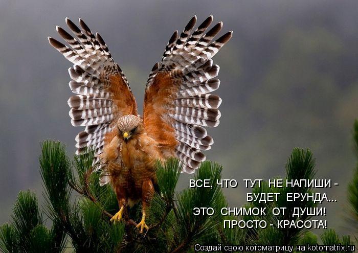 ВСЕ, ЧТО ТУТ НЕ НАПИШИ - БУДЕТ ЕРУНДА... ЭТО СНИМОК ОТ ДУШИ! ПРОСТО - КРАСОТА!... Котоматрица: ВСЕ, ЧТО ТУТ НЕ НАПИШИ - БУДЕТ ЕРУНДА... ЭТО СНИМОК ОТ ДУШИ! ПРОСТО - КРАСОТА!