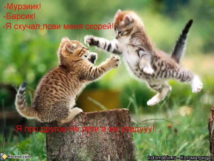 -Мурзиик! -Барсик! -Я скучал,лови меня скорей! -Я про другое.Не лети я же упадууу!...... Котоматрица: -Мурзиик! -Барсик! -Я скучал,лови меня скорей! -Я про другое.Не лети я же упадууу!...