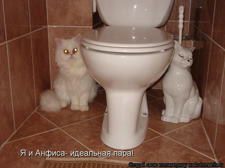 Я и Анфиса- идеальная пара!... Котоматрица: Я и Анфиса- идеальная пара!