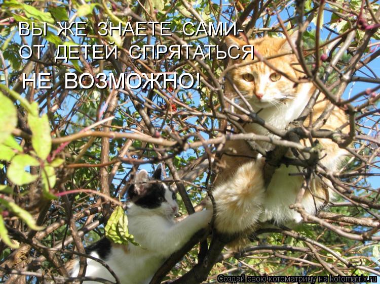 ВЫ ЖЕ ЗНАЕТЕ САМИ- ОТ ДЕТЕЙ СПРЯТАТЬСЯ НЕ ВОЗМОЖНО!... Котоматрица: ВЫ ЖЕ ЗНАЕТЕ САМИ- ОТ ДЕТЕЙ СПРЯТАТЬСЯ НЕ ВОЗМОЖНО!