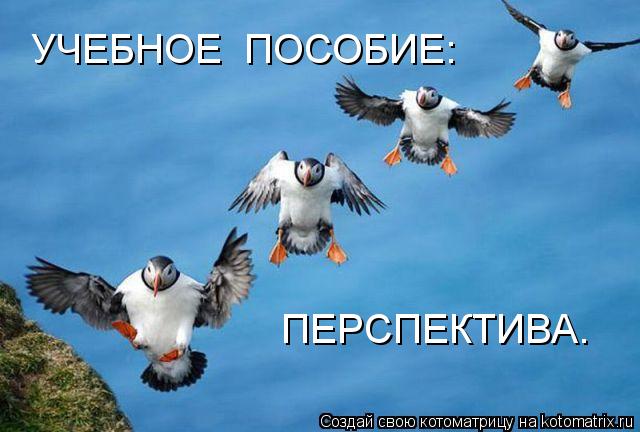 УЧЕБНОЕ ПОСОБИЕ: ПЕРСПЕКТИВА.... Котоматрица: УЧЕБНОЕ ПОСОБИЕ: ПЕРСПЕКТИВА.