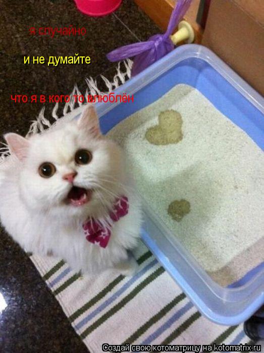 я случайно и не думайте что я в кого то влюблён... Котоматрица: я случайно и не думайте что я в кого то влюблён