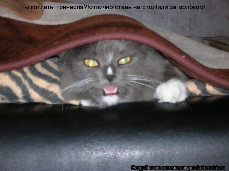 ты котлеты принесла?!отлично!ставь на стол!иди за молоком!... Котоматрица: ты котлеты принесла?!отлично!ставь на стол!иди за молоком!