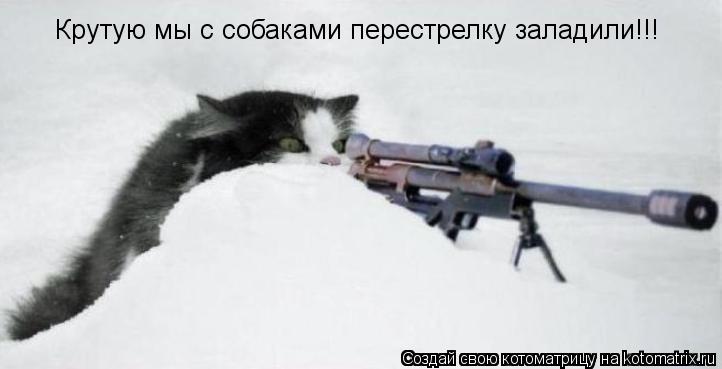 Крутую мы с собаками перестрелку заладили!!!... Котоматрица: Крутую мы с собаками перестрелку заладили!!!