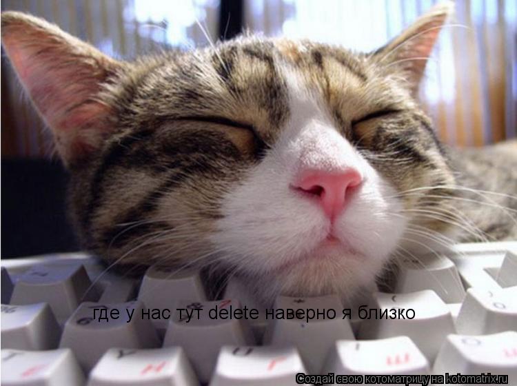 где у нас тут delete наверно я близко... Котоматрица: где у нас тут delete наверно я близко