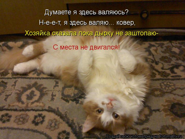 Думаете я здесь валяюсь? Н-е-е-т, я здесь валяю... ковер, Хозяйка сказала пока дырку не заштопаю- С м... Котоматрица: Думаете я здесь валяюсь? Н-е-е-т, я здесь валяю... ковер, Хозяйка сказала пока дырку не заштопаю- С места не двигался!