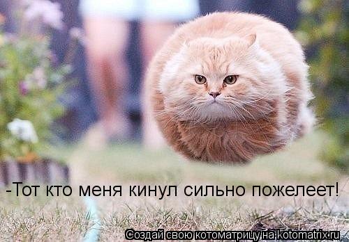 -Тот кто меня кинул сильно пожелеет!... Котоматрица: -Тот кто меня кинул сильно пожелеет!