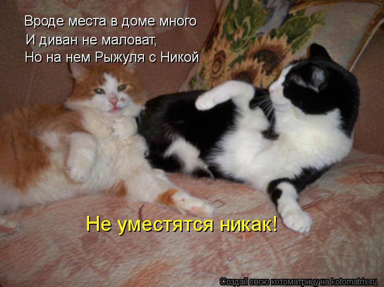 Вроде места в доме много И диван не маловат, Но на нем Рыжуля с Никой Не уместятся никак!... Котоматрица: Вроде места в доме много И диван не маловат, Но на нем Рыжуля с Никой Не уместятся никак!