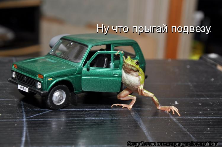 Ну что прыгай подвезу.... Котоматрица: Ну что прыгай подвезу.