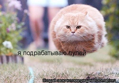 я подрабатываю пулей... Котоматрица: я подрабатываю пулей