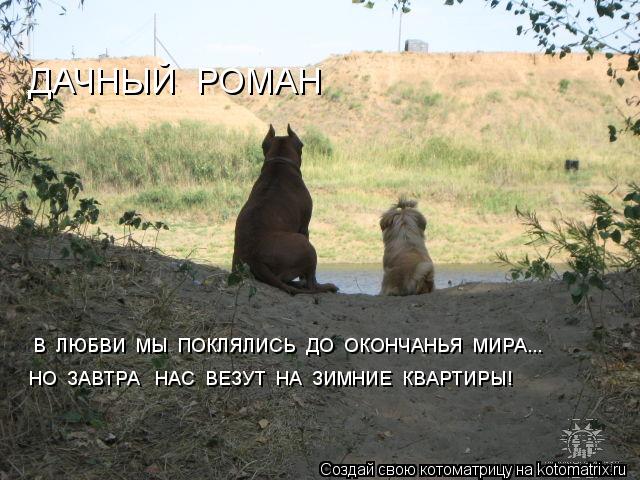 В ЛЮБВИ МЫ ПОКЛЯЛИСЬ ДО ОКОНЧАНЬЯ МИРА... НО ЗАВТРА НАС ВЕЗУТ НА ЗИМНИЕ КВАРТИРЫ! ДАЧНЫЙ... Котоматрица: В ЛЮБВИ МЫ ПОКЛЯЛИСЬ ДО ОКОНЧАНЬЯ МИРА... НО ЗАВТРА НАС ВЕЗУТ НА ЗИМНИЕ КВАРТИРЫ! ДАЧНЫЙ РОМАН