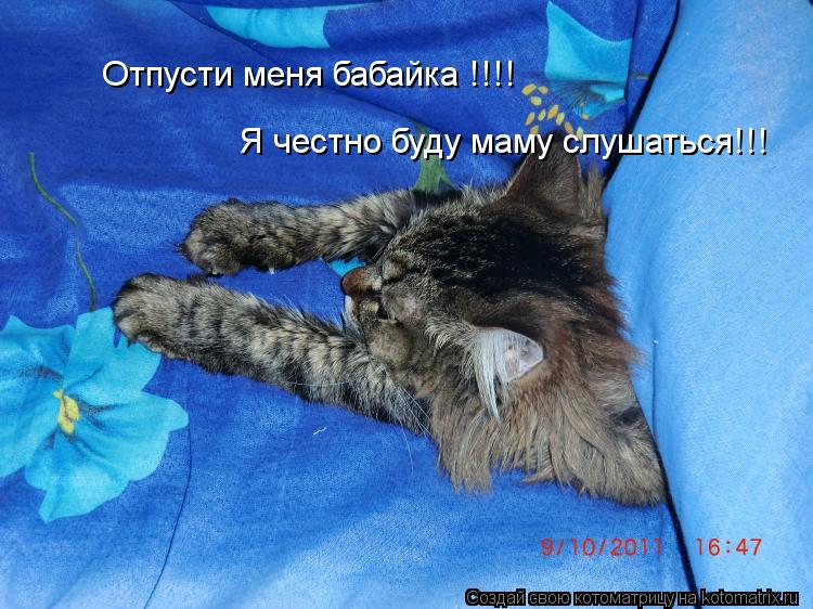Отпусти меня бабайка !!!! Я честно буду маму слушаться!!!... Котоматрица: Отпусти меня бабайка !!!! Я честно буду маму слушаться!!!