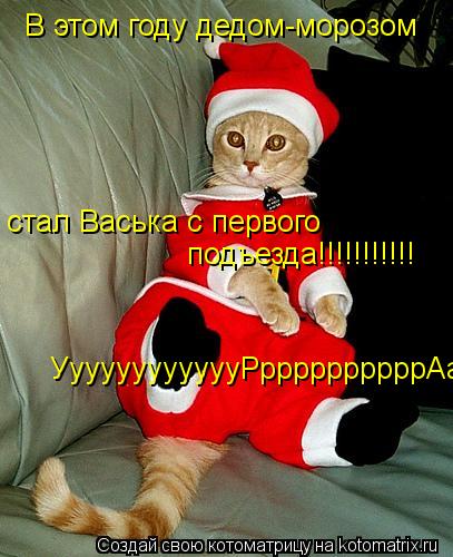 В этом году дедом-морозом стал Васька с первого подъезда!!!!!!!!!!! УуууууууууууРррррррррррАааа... Котоматрица: В этом году дедом-морозом стал Васька с первого подъезда!!!!!!!!!!! УуууууууууууРррррррррррАааа