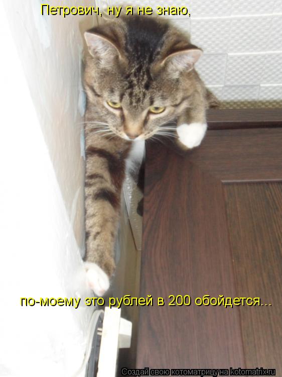 Петрович, ну я не знаю, по-моему это рублей в 200 обойдется...... Котоматрица: Петрович, ну я не знаю, по-моему это рублей в 200 обойдется...