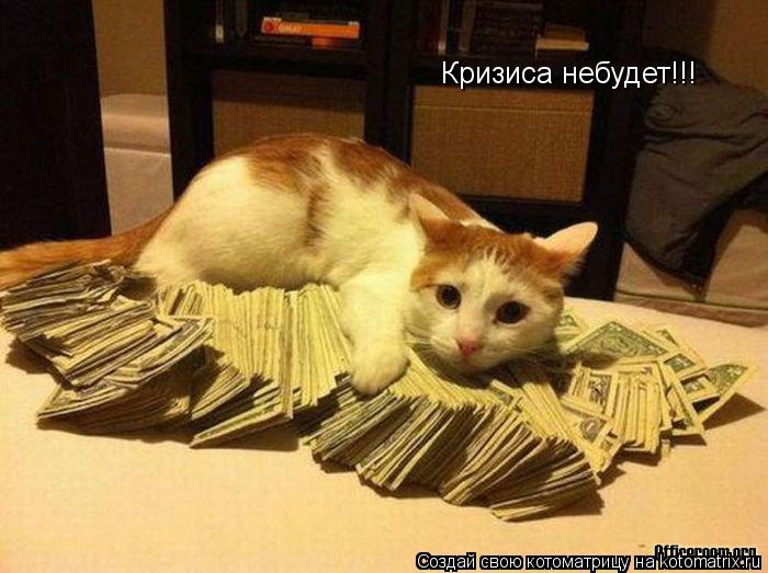 Кризиса небудет!!!... Котоматрица: Кризиса небудет!!!
