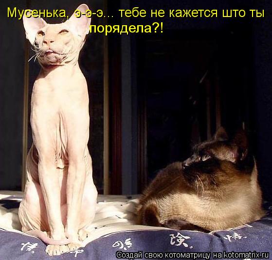Мусенька, тебе не кажетсаю Мусенька, тебе не кажетса Мусенька, э-э-э... тебе не кажется што ты поряде... Котоматрица: Мусенька, тебе не кажетсаю Мусенька, тебе не кажетса Мусенька, э-э-э... тебе не кажется што ты порядела?!