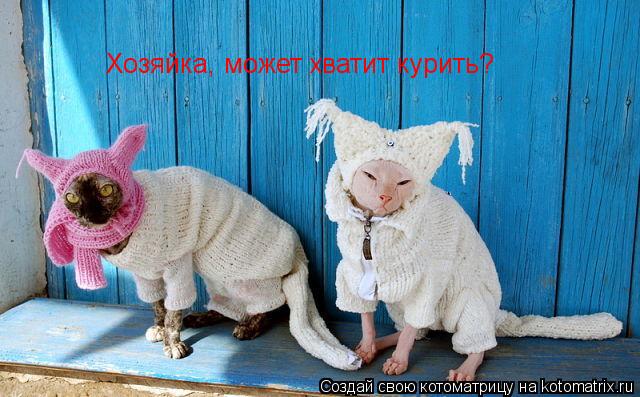 Хозяйка, может хватит курить?... Котоматрица: Хозяйка, может хватит курить?