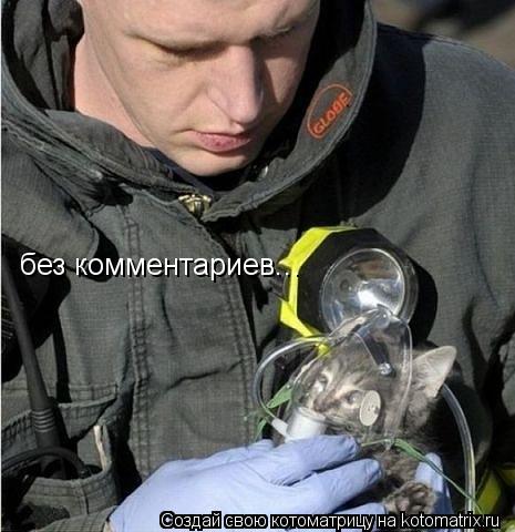 без комментариев...... Котоматрица: без комментариев...