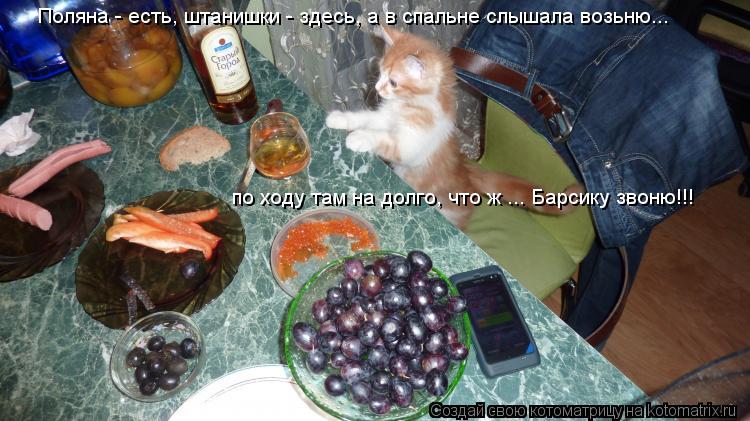 Поляна - есть, штанишки - здесь, а в спальне слышала возьню... по ходу там на долго, что ж ... Барси... Котоматрица: Поляна - есть, штанишки - здесь, а в спальне слышала возьню... по ходу там на долго, что ж ... Барсику звоню!!!