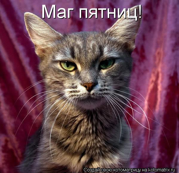 Маг пятниц!... Котоматрица: Маг пятниц!