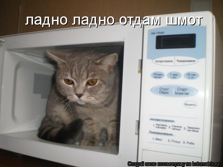 ладно ладно отдам шмот... Котоматрица: ладно ладно отдам шмот