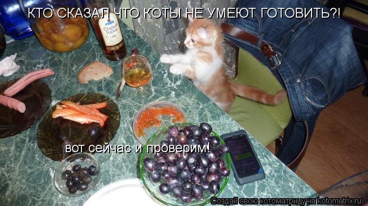 КТО СКАЗАЛ ЧТО КОТЫ НЕ УМЕЮТ ГОТОВИТЬ?! вот сейчас и проверим!... Котоматрица: КТО СКАЗАЛ ЧТО КОТЫ НЕ УМЕЮТ ГОТОВИТЬ?! вот сейчас и проверим!