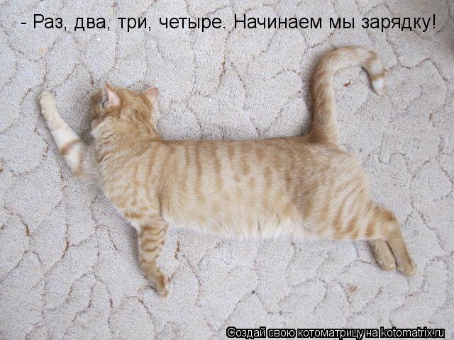 - Раз, два, три, четыре. Начинаем мы зарядку!... Котоматрица: - Раз, два, три, четыре. Начинаем мы зарядку!