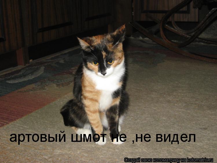 артовый шмот не ,не видел... Котоматрица: артовый шмот не ,не видел