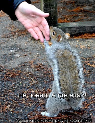 Не понял! А где еда?!... Котоматрица: Не понял! А где еда?!