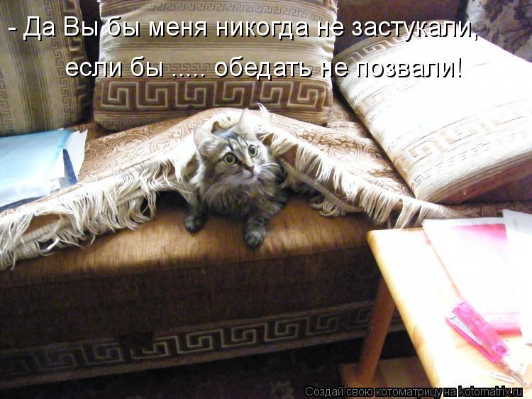 - Да Вы бы меня никогда не застукали, если бы ..... обедать не позвали!... Котоматрица: - Да Вы бы меня никогда не застукали, если бы ..... обедать не позвали!