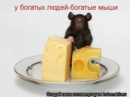 у богатых людей-богатые мыши... Котоматрица: у богатых людей-богатые мыши