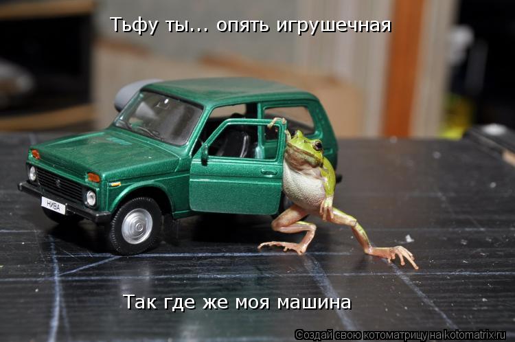 Тьфу ты... опять игрушечная Так где же моя машина... Котоматрица: Тьфу ты... опять игрушечная Так где же моя машина